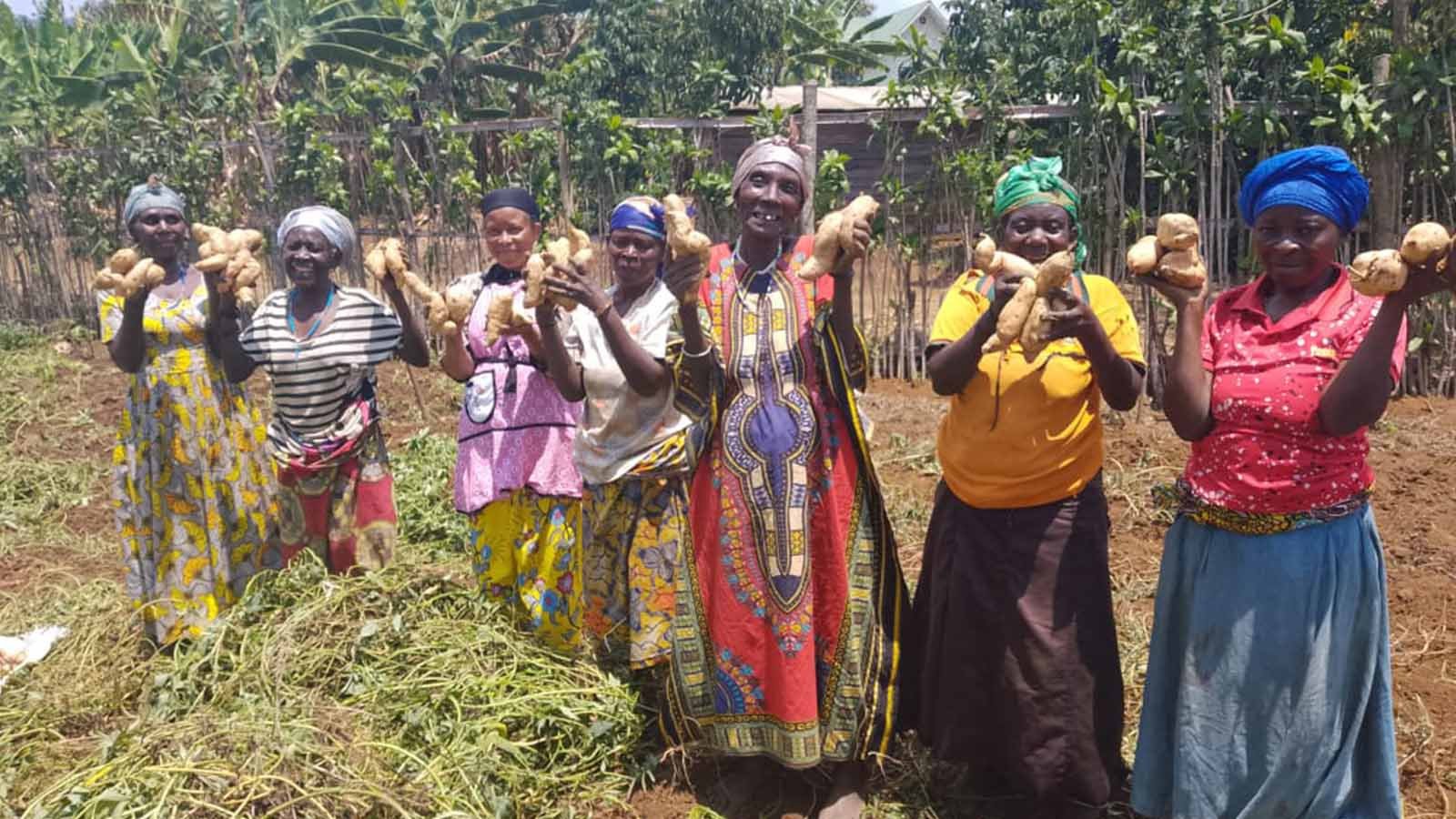 Quand la lutte contre la faim devient un projet de résilience : l’expérience du Prof. Abbé Roger Mpongo à Miti-Kambehe